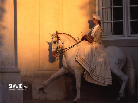 Romantic Walk - spanish, white, horses, girl, andalusian