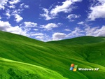 Windows XP