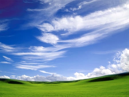 Bliss style - sky, bliss, blue, green, field, grass