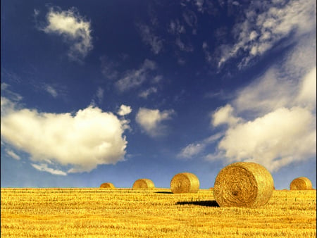 Straw Field - sky, field, golden, clouds