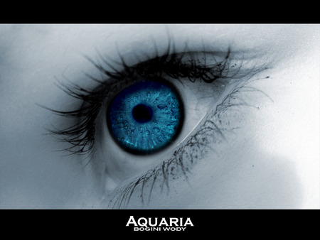 Aquaria - aquaria