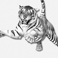 White Tiger Leaping