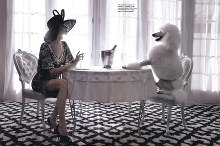 Suggestions 02 - editorial, vogue, vogue italia, poodle, olga sherer, fashion, greg lotus