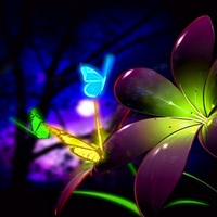 Fluorescent 3D Flowers