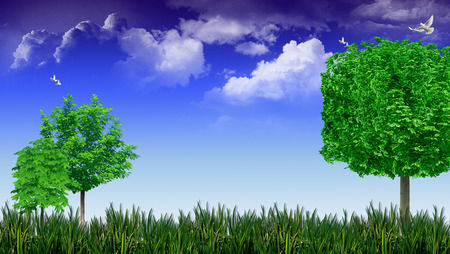 field of dreams - nature, sky, tree