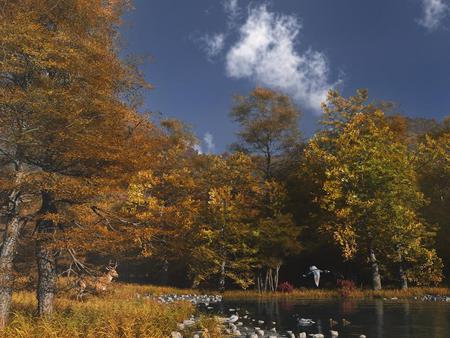 nature - nature, lake, forests