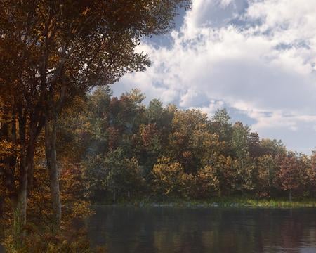 Walden Pond - lake, forests, nature