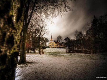 The grounds in winter - winter, dark, trees, grounds