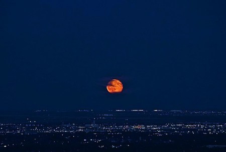 Look up - harvest moon, skyline, gold, city lights, night, dark, sky