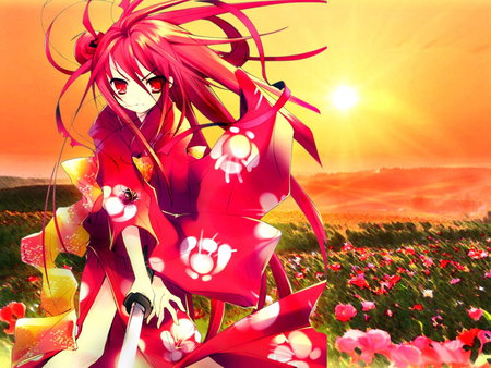 Shana battlefield - anime, humens, flowers, battle, red, shield, sky, sun, mists, yuji, spirit, girl, shana, sword, torch, kimono, love