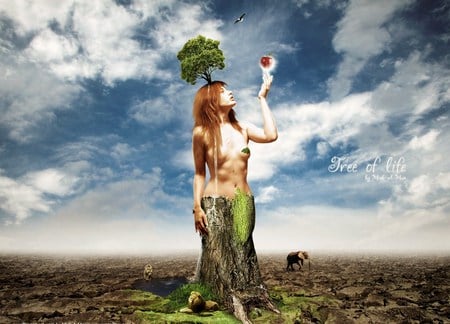 Tree of life - woman, nature, blue cloudy sky, animals, part of tree, growth, birds