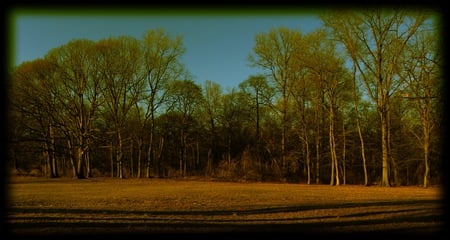 pelham park - nature, isnogue, photo, ny