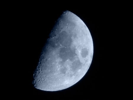 moon - white, nature, ny, isnogue, photo, black