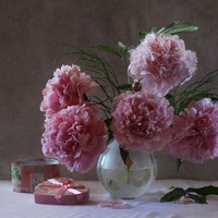 still life