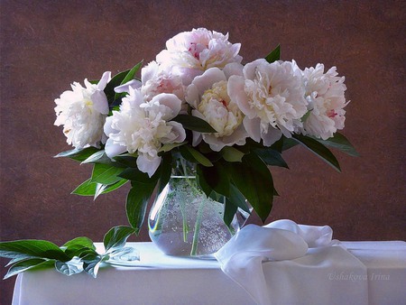 still life - vase, water, beautiful, photography, photo, cool, flower, pink, still life, bouquet, jug, flowers, peony, white, nice