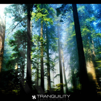 Tranquility