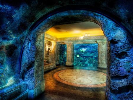 Beneath the blue - arches, blue, underwater, sealife, lights, rock, marble, window ocean