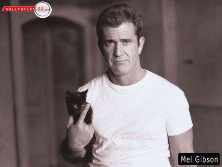 Mel Gibson - white, male, people, cat, blue eyes, actor