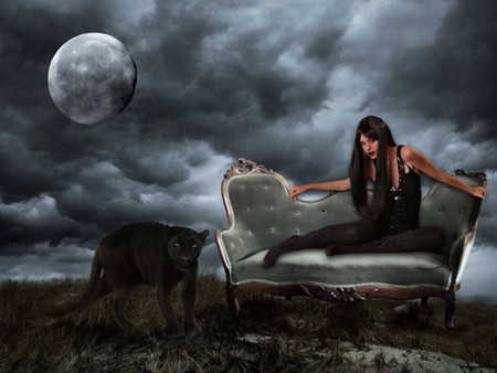 BLACK CAT - moon, sky, female, cat, clouds, stormy, black