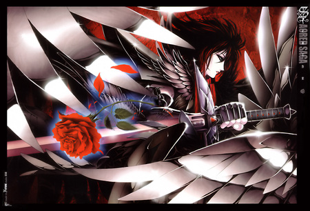 Agred Saga - sexy, hot, angel, girl, black wings, rose, silver, red, agred saga, anime, steel, sword, cute