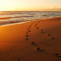 Footsteps In The Sand