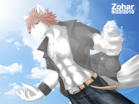 furry - furry, wolf, beautiful, sky