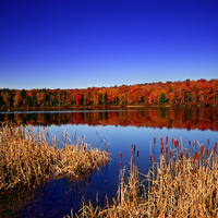 a beautiful fall scenic view