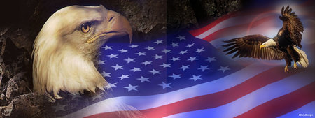 Flag - usa, eagle, patriotic, flag