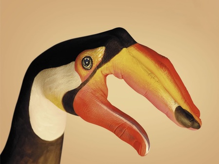 body paint toucan - abstract, toucan, body paint, other