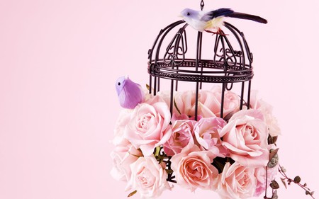 caged flowers - nature, roses, wild, pink, flowers, birds