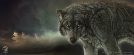 wolf - animal, nature, wolf, grey