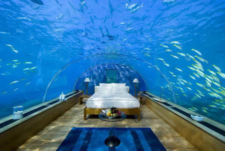 Under the sea - sea life, five metres below sea level, ocean, bed, rangali island, glass, residents, water, under, underwater, accomodation, view, apartment, hilton