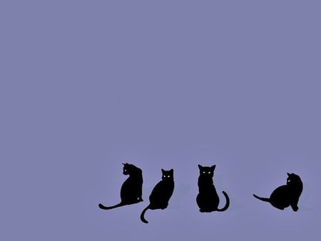 Four black cats - blue background, cats, four, black, bright eyes