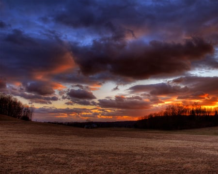 Sunsets - beaches, panorama, stream, field, waterfall, reflections, evening, paysage, grass, refleced, lake, attractive, ellegant, nature, beautiful, mirror, nice, sky, photography, clear, black, rocks, calm, corner, cloud, green, oceans amazing, wave, neat, gourgeous, blue, scenery, awesome, gray, natural, sunset, meadow, bay, lakes, cool, river, pond, cena, landscape, multi-coloured, scenario, photoshop, sea, beach, rose, surfing, multicolor, rivers, scene, morning, paisagem, canyons, caves, seas, colours, creeks, cenario, fish, colors, photo, flower