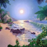 Tranquility Beach