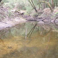 Australian Bush River