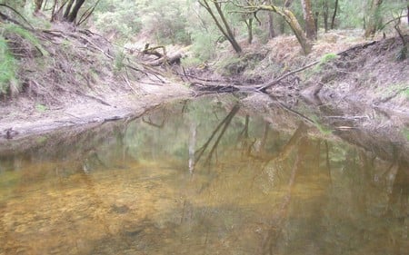 Australian Bush River - australia, bush, country, river