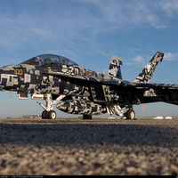 SUPER HORNET