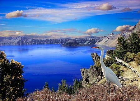 Lake of the egret - lake, cliffs, clouds, egret, blue, grass