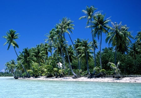 Tropical - sky, beach, ocean, palm trees, island