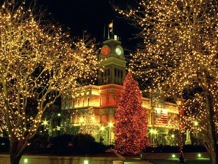 beautiful-christmas - white, bright, building, trees, red, holiday, christmas, lights