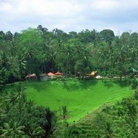 Bali-Ubud-small-village-on-a-slope