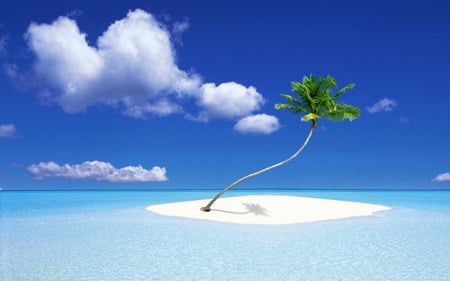 Ultimate Getaway - palm, water, clouds, island, beach, tree, ocean