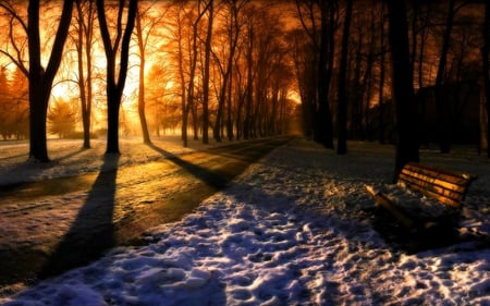 TWILIGHT AND SUNSET - ice, winter, sunset, twilight, bench, forest