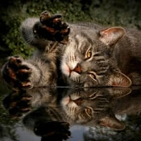 STRETCH IN REFLECTION