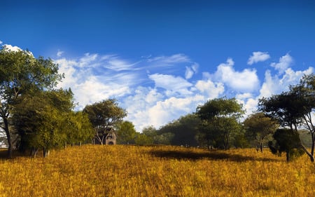 Forbes Ranch - sky, field, trees, blue