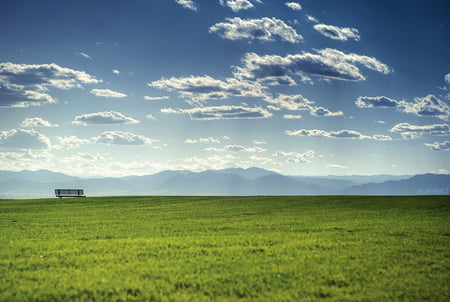 The Field - green, sky, field, blue