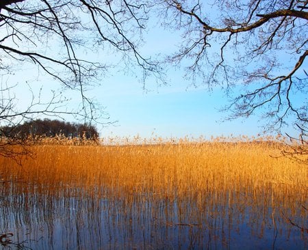 Drawsko Lake - lake, polska, jezioro, drawsko