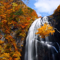 Autumn Waterfall