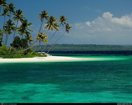 Emerald Green - trees, paradise, peaceful, water, palms, tropical, clear, calm, white, crystal, island, sand